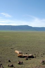 Ngorongoro Traffic jam