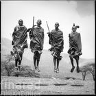 Ngorongoro von Klaus Polkowski