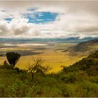 Ngorongoro_Krater