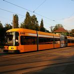 NGT8DD 2722 in Tolkewitz