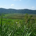 Ngurdoto Crater