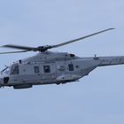 NH90 NTH Sea Lion Marine