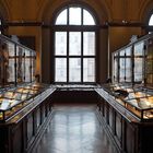 NHM (naturhistorisches Museum Wien)