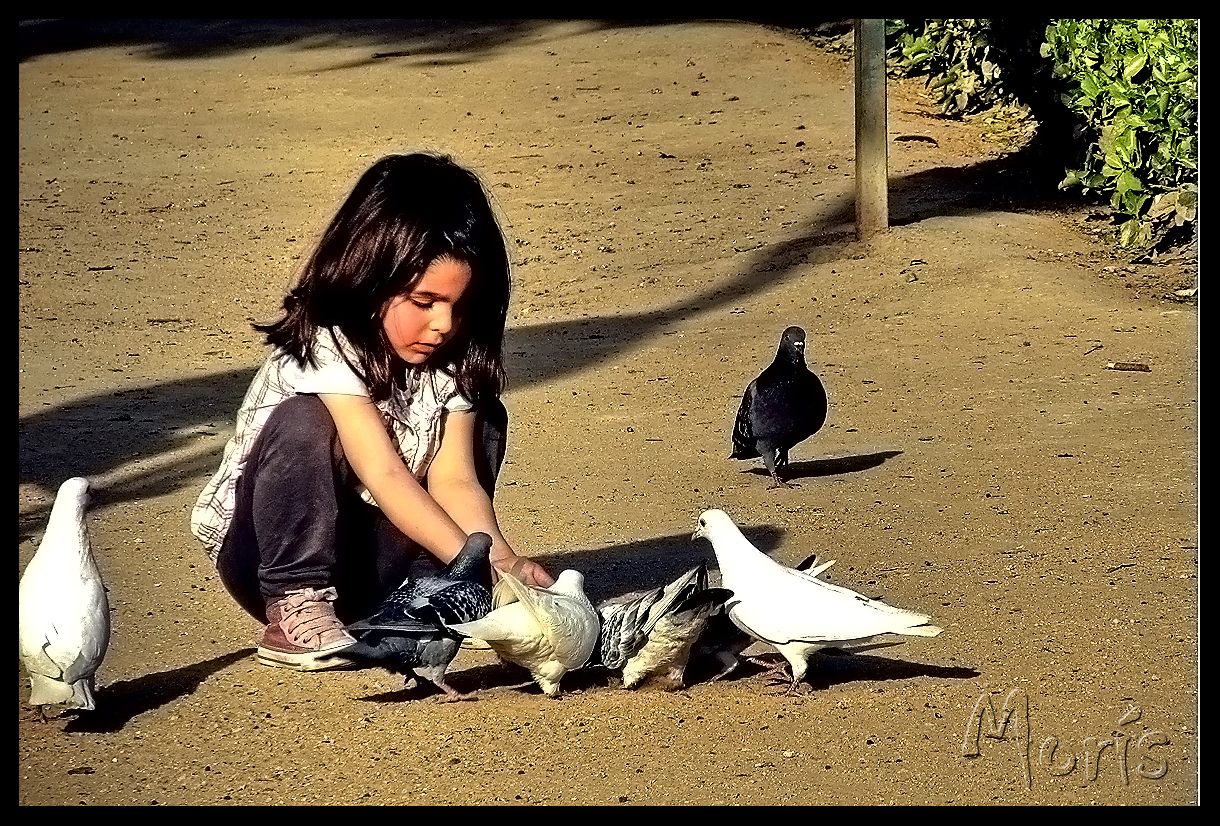 Niña con palomas