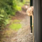 Niña y tren