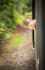 Niña y tren