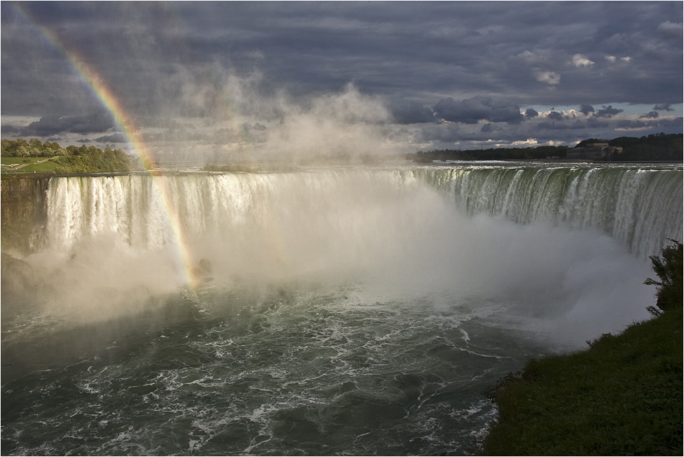 NIAGARA (1)