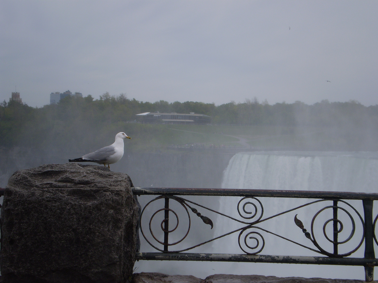 Niagara Fälle