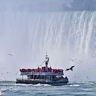 Niagara falls