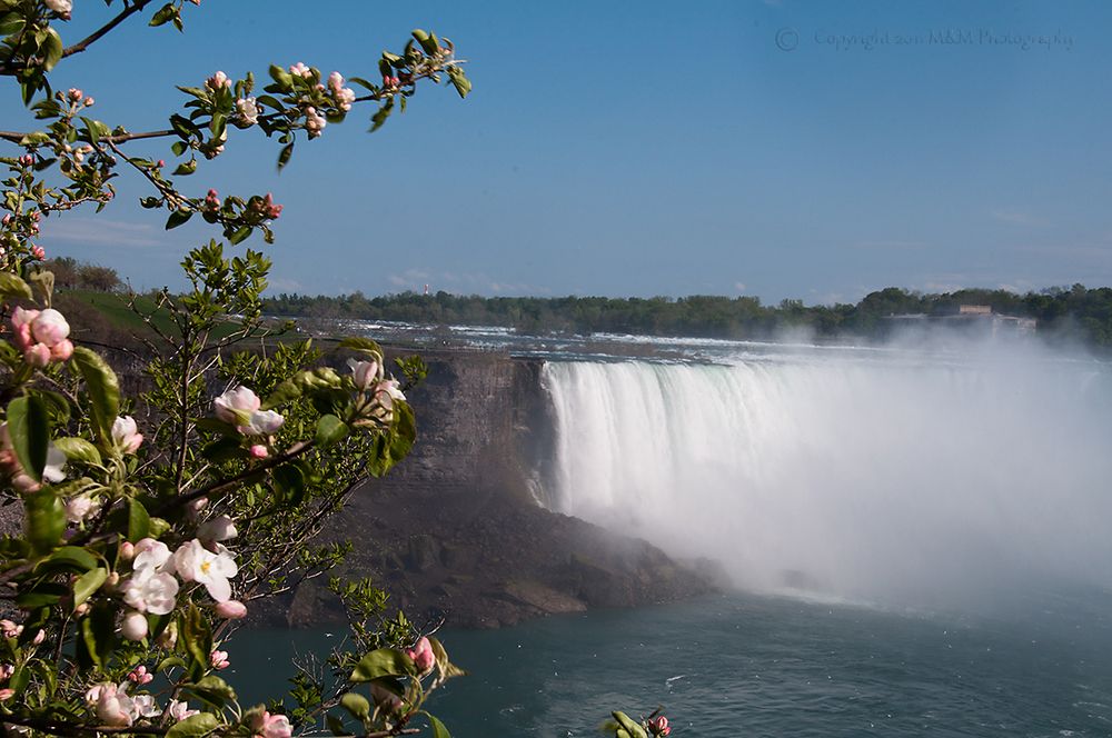 Niagara Falls 4