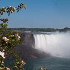 Niagara Falls 4