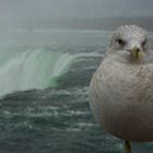 Niagara Falls