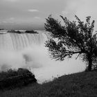 Niagara - Falls