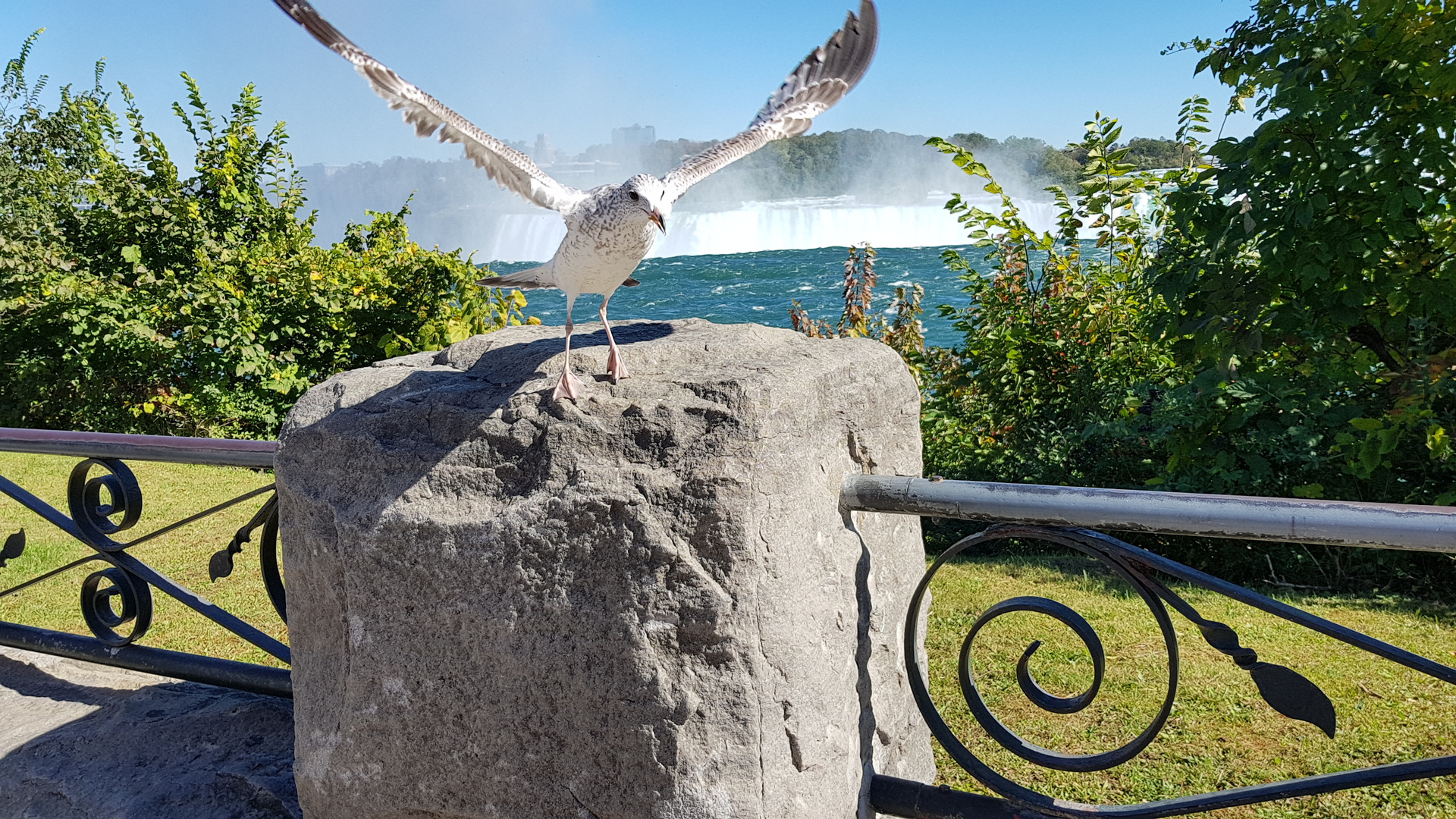 Niagara Falls