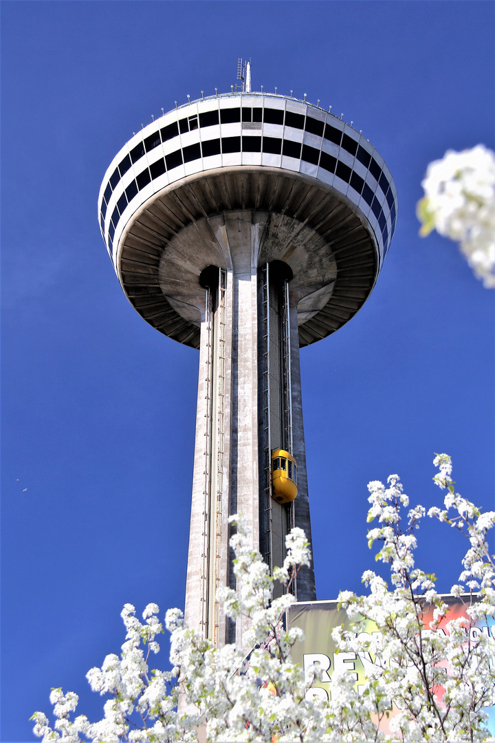 Niagara Falls - Observation Tower