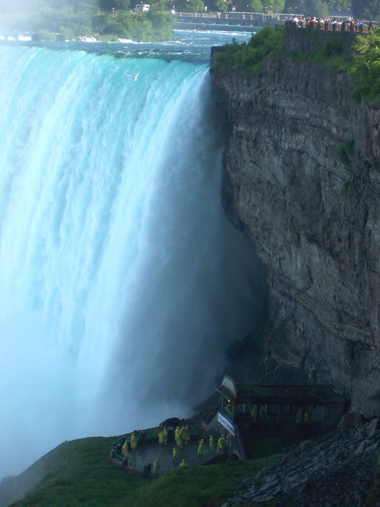 Niagara - Horseshoe Falls