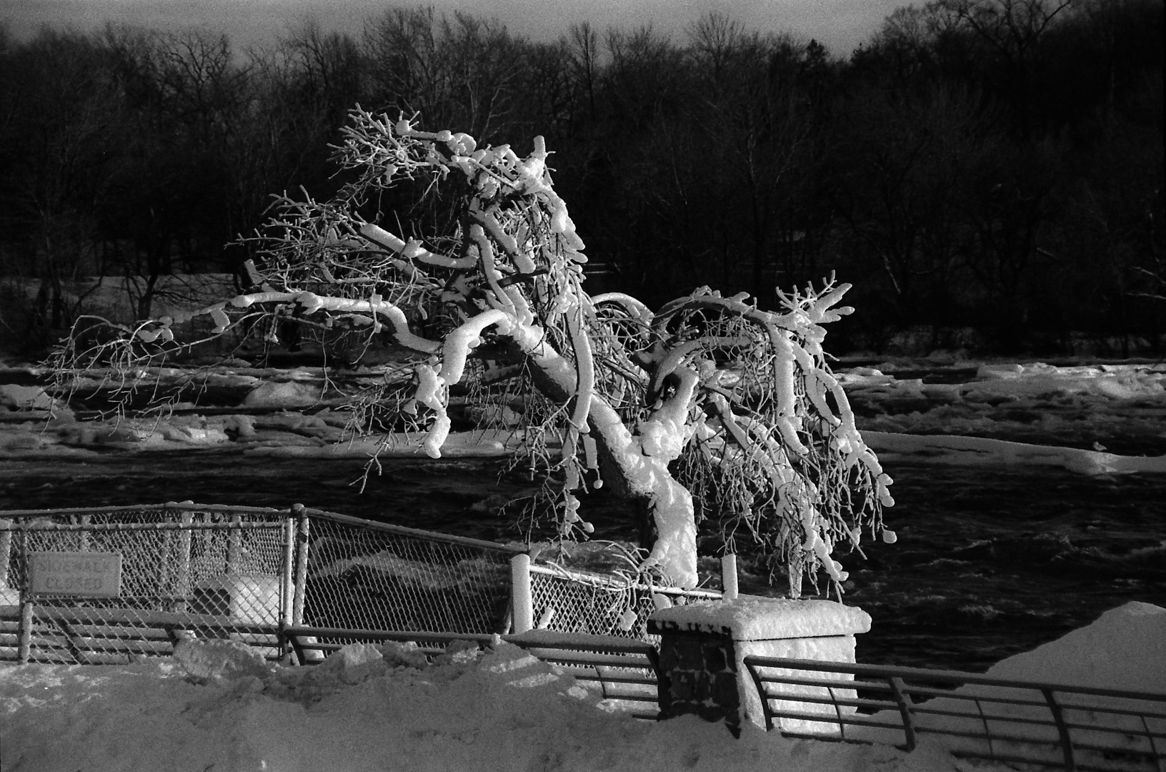 Niagara on the rocks