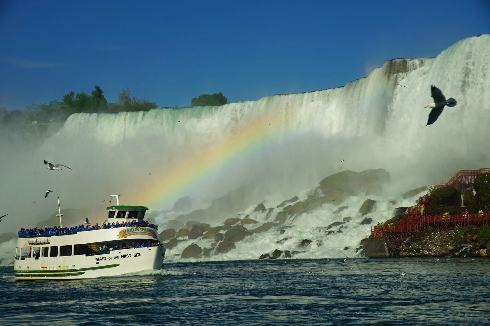 Niagarafälle erleben