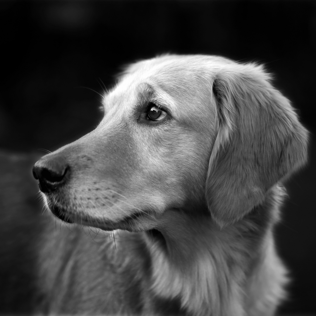 Nica Portrait bw