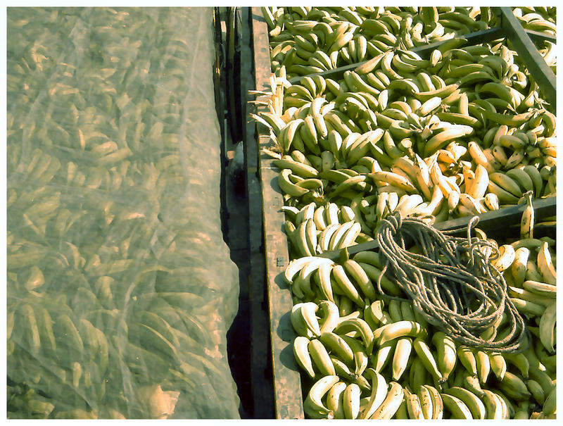 Nicaragua "Dole - Chiquita - Del Monte - bananas for us"