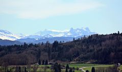 Nice Alp views in Spring