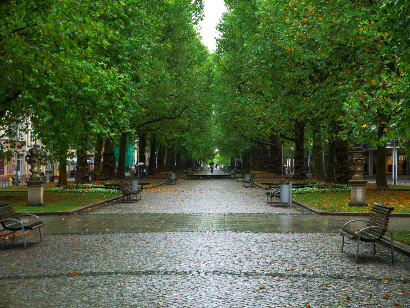 Nice avenue...even on a rainy day