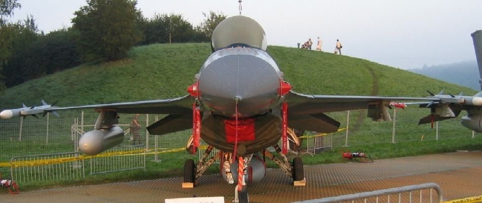 Nice bird, isn't it??