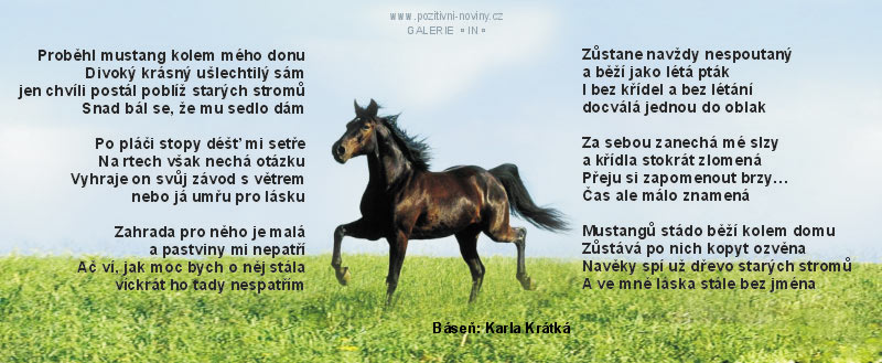 nice horse´s poem