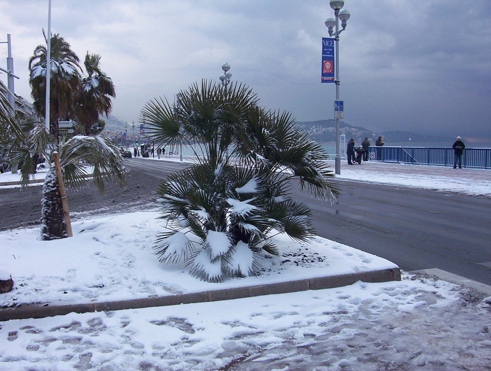 nice montée en neige!