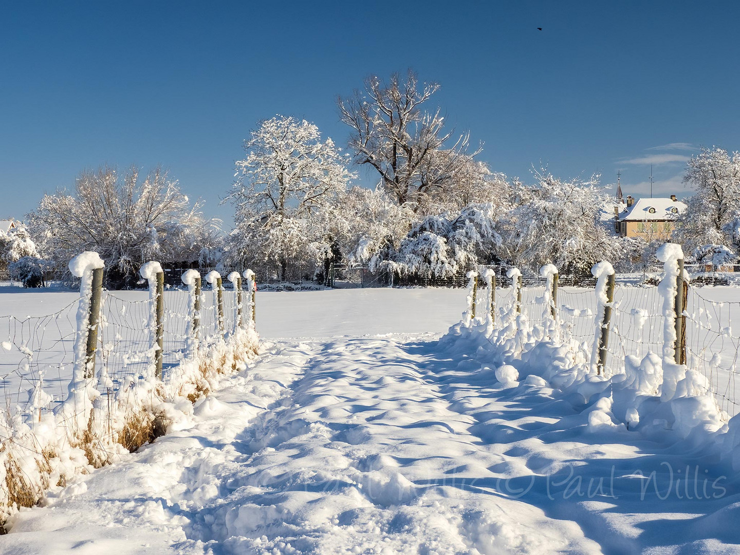 Nice sunny day after the snow fall :D