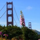 Nice view of Golden Gate Bridge