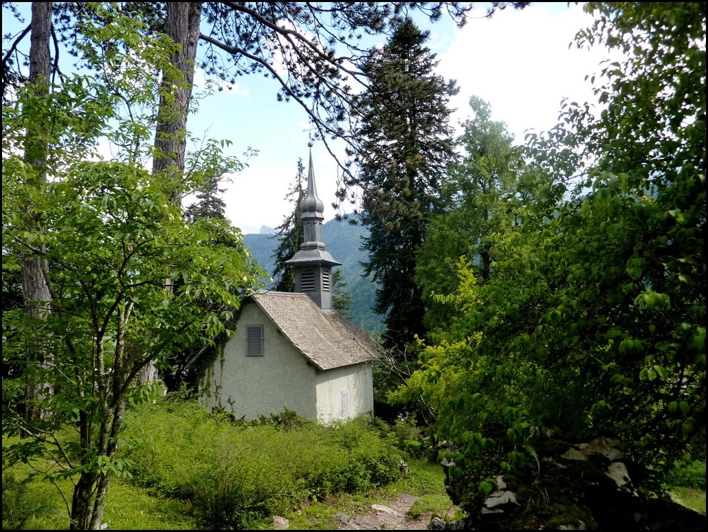 nichée au coeur de la forêt