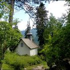 nichée au coeur de la forêt