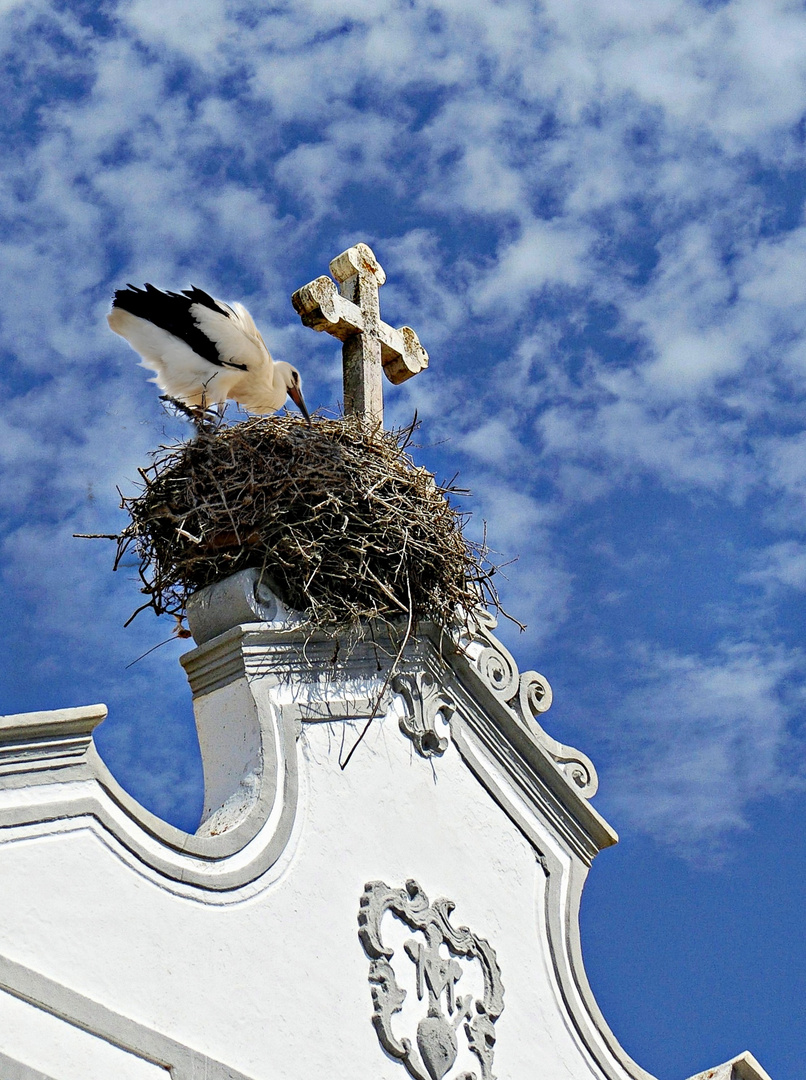 Nichée sur une église