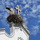 Nichée sur une église