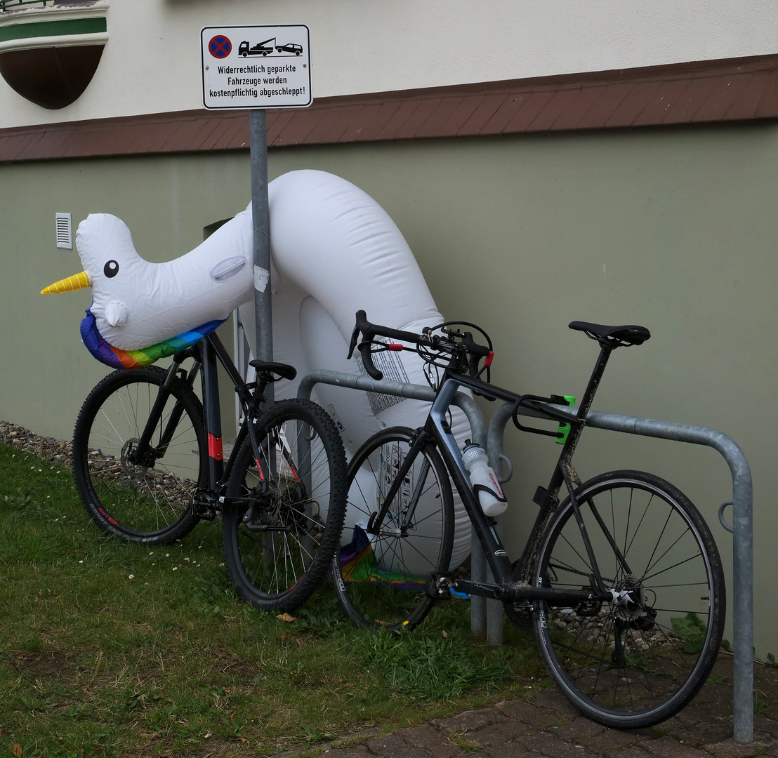 Nicht abgeschlepptes Einhorn