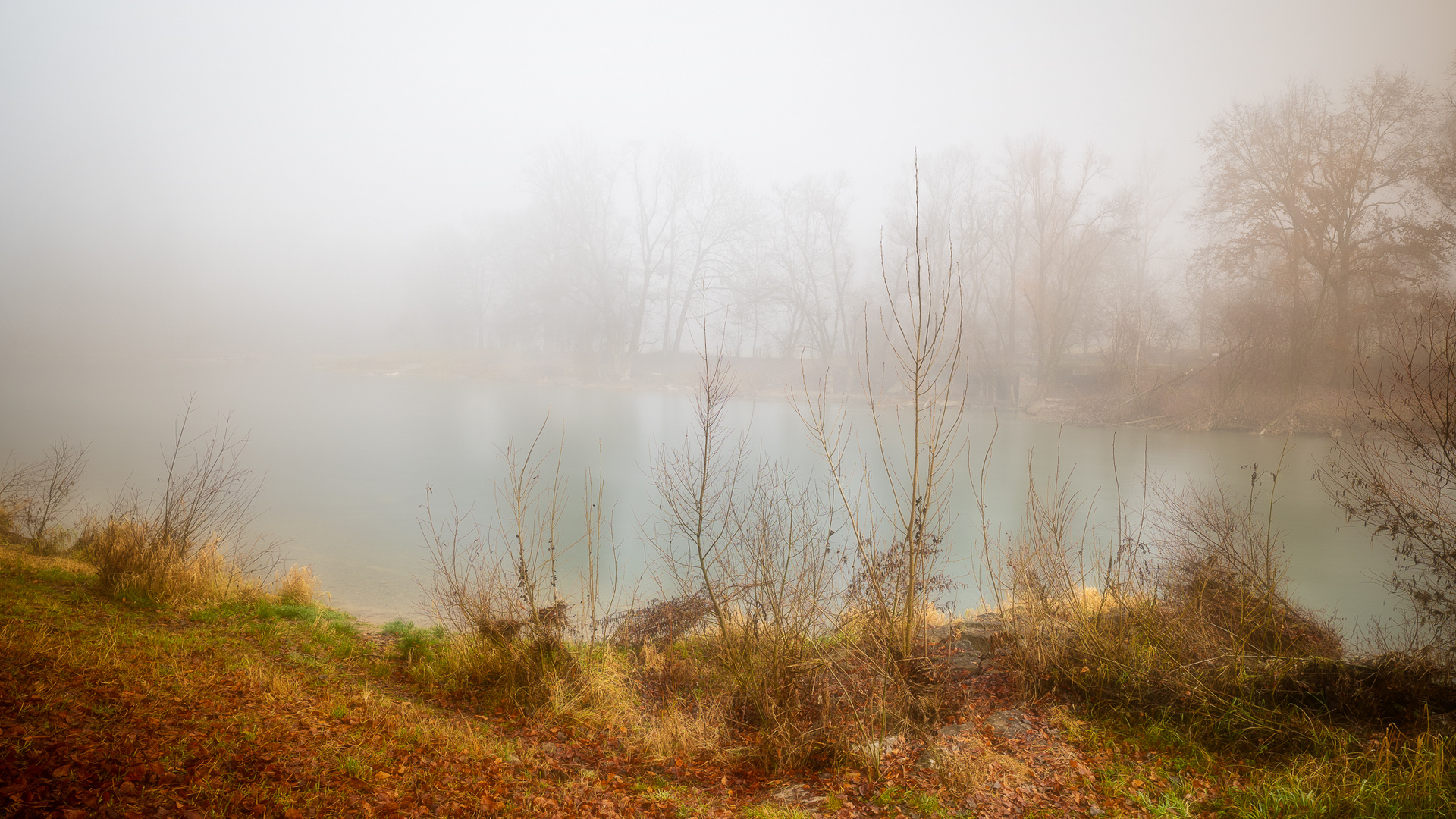 Nicht alles ist im Nebel