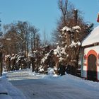 nicht alltägliche Dorfstr. in Hainspitz