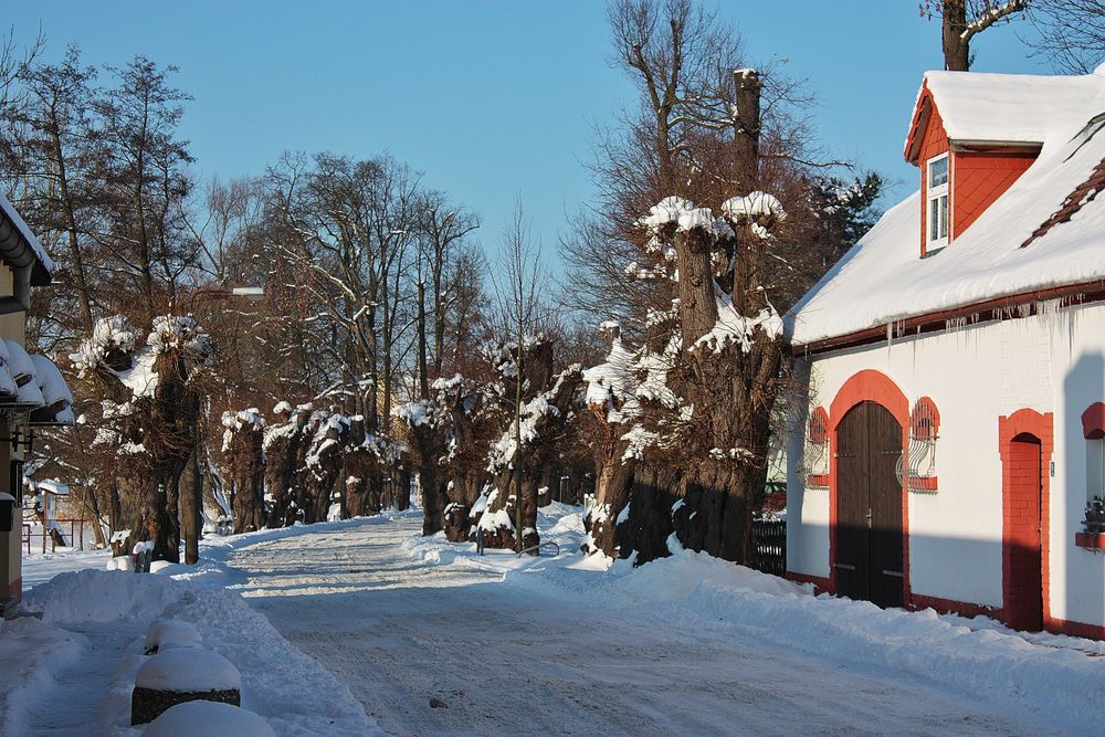 nicht alltägliche Dorfstr. in Hainspitz