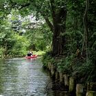 Nicht am Amazonas