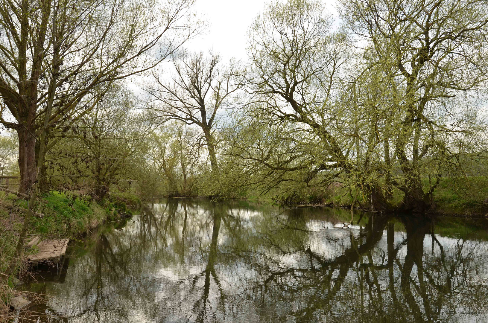 nicht Amazonas, sondern Diemel