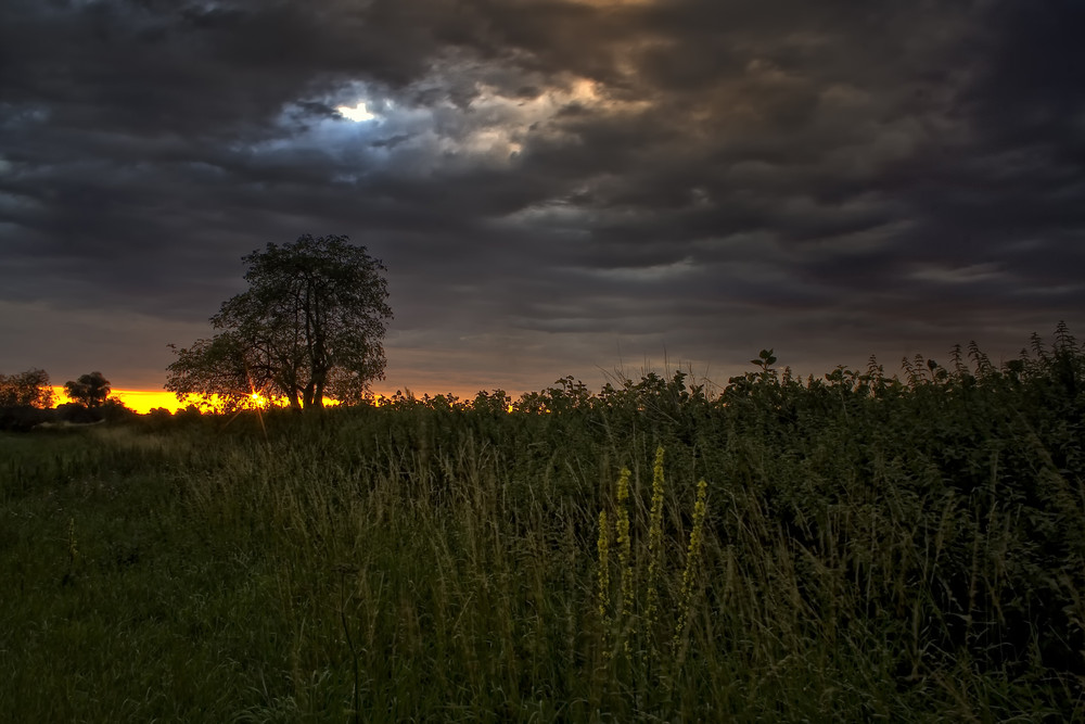 nicht auf die wolken geachtet,