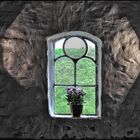 Nicht das Fenster zum Hof, aber das Fenster zum Deich..;-)