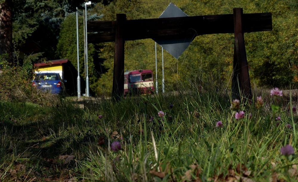 Nicht das Gelbe vom Ei [Sudety