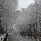 nicht das ihr denkt, es gäbe keinen Schnee mehr