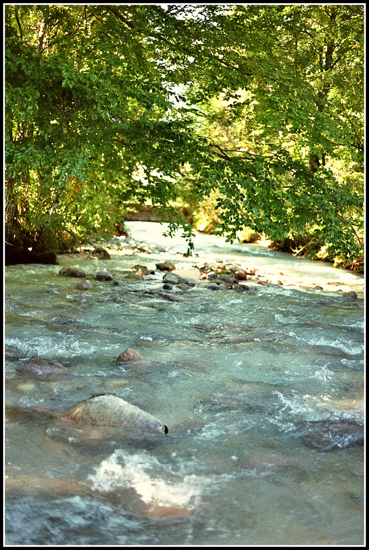 "Nicht der Fluss fließt, sondern das Wasser.