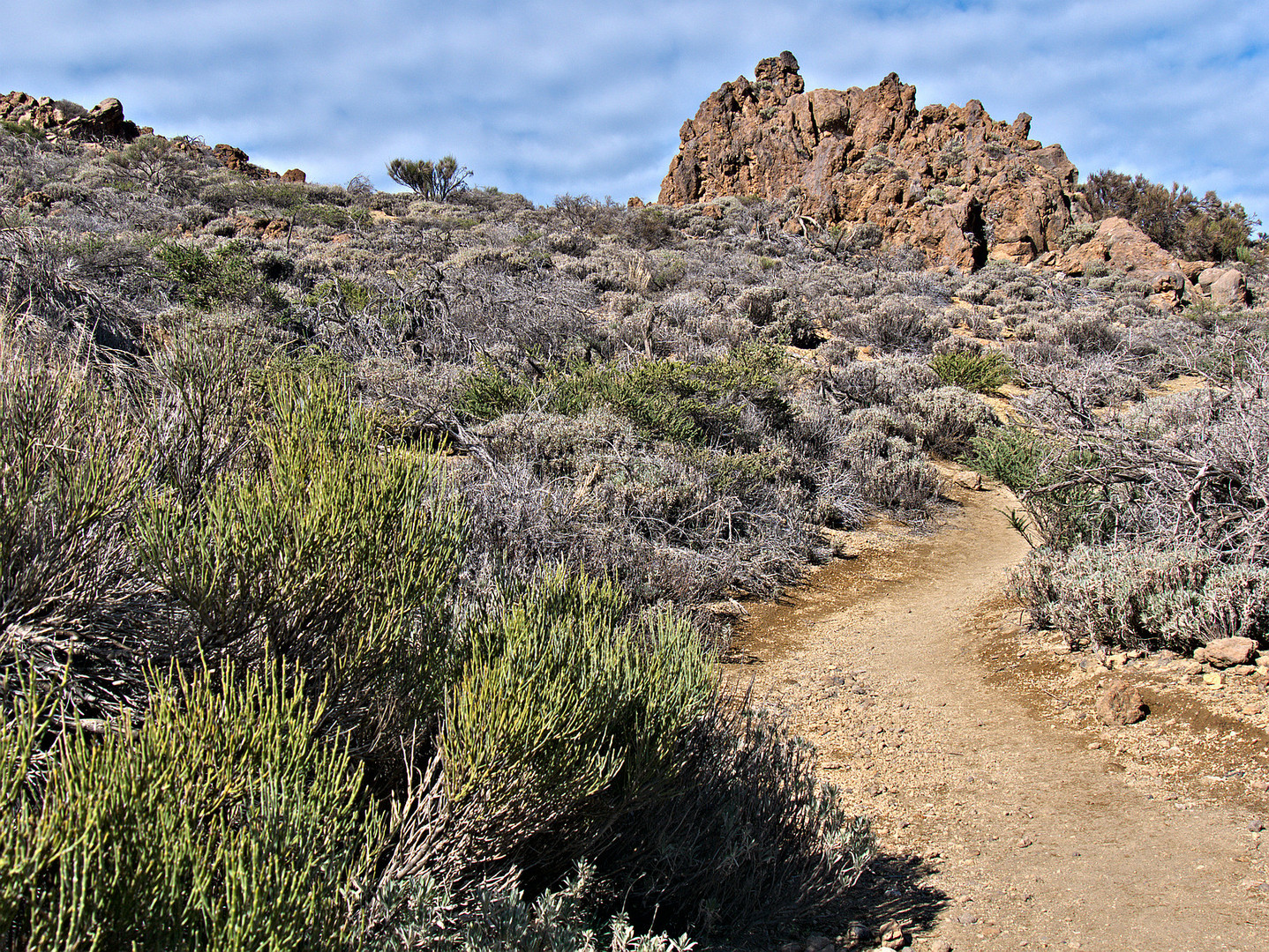 Nicht der wilde Westen sondern Halbwüste im Teide -Nationalpark