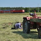 Nicht die "Nadel" im Heuhaufen...