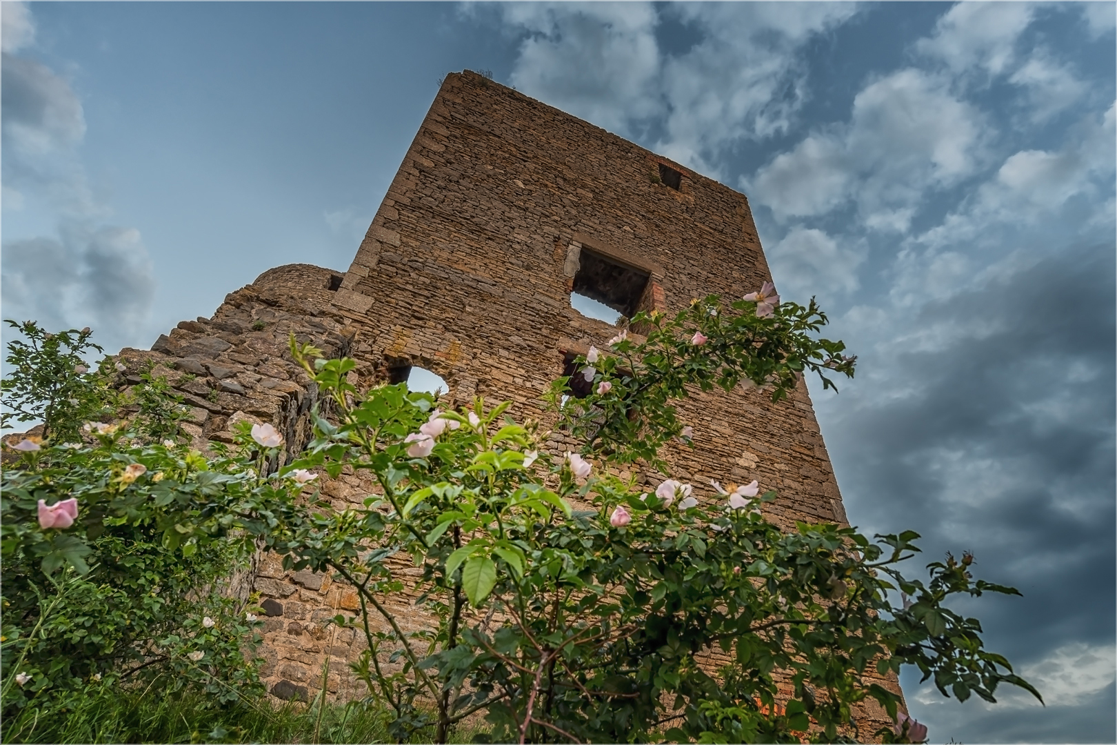 Nicht die Rose(n)burg