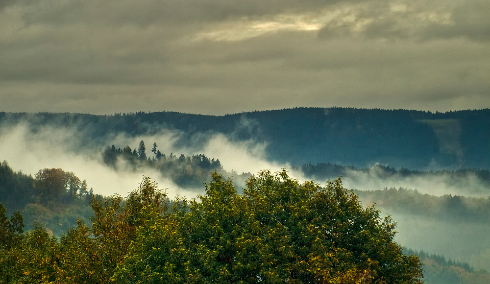 Nicht die Suppe verregnen lassen ist heute angesagt!